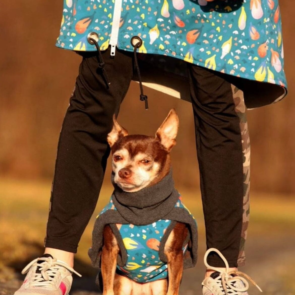 Softshell kann so viel mehr! Schau Dir unsere tollen Beispiele für Accessoires und Resteverwertung an!