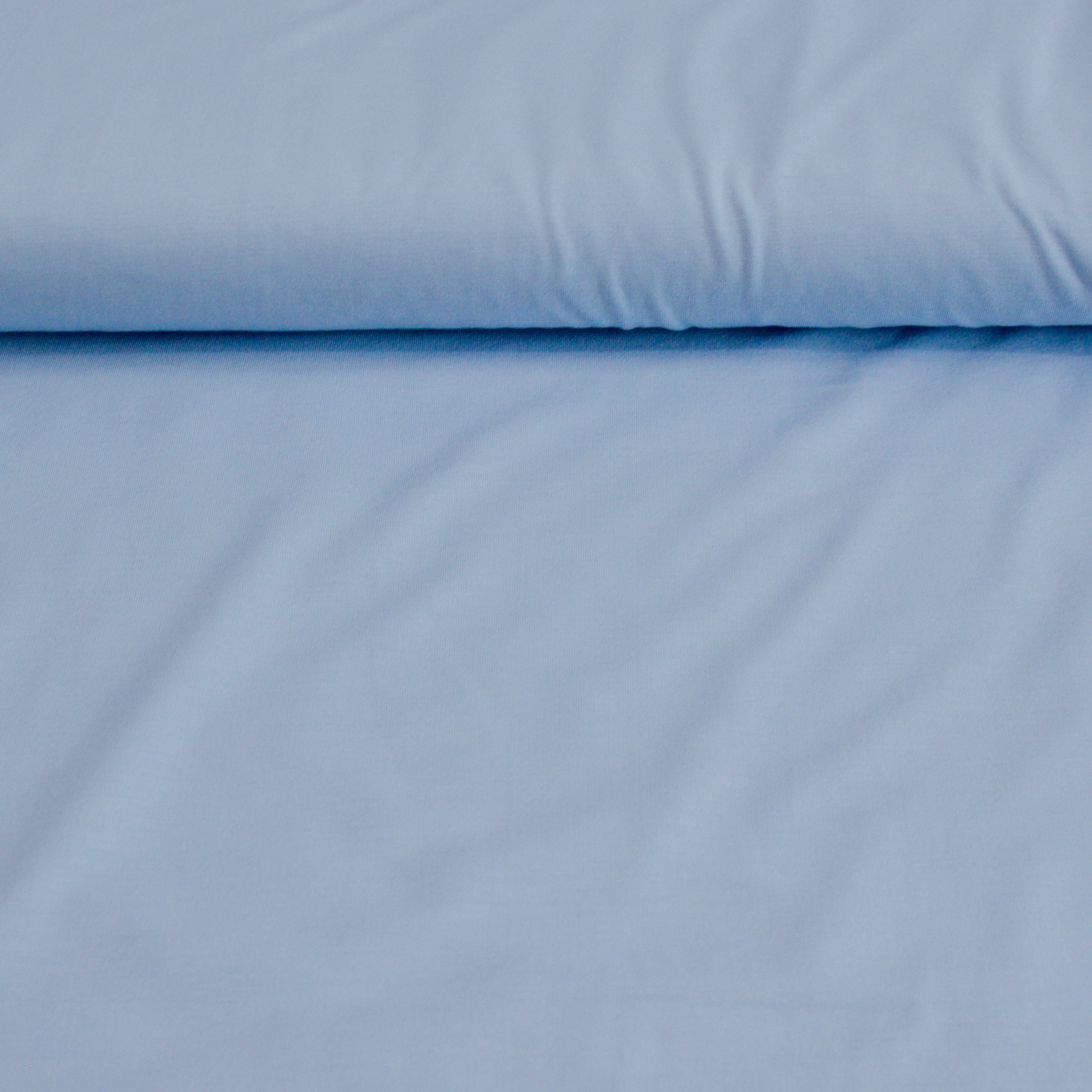 Viskosejersey - hellblau Fabric poshpinks