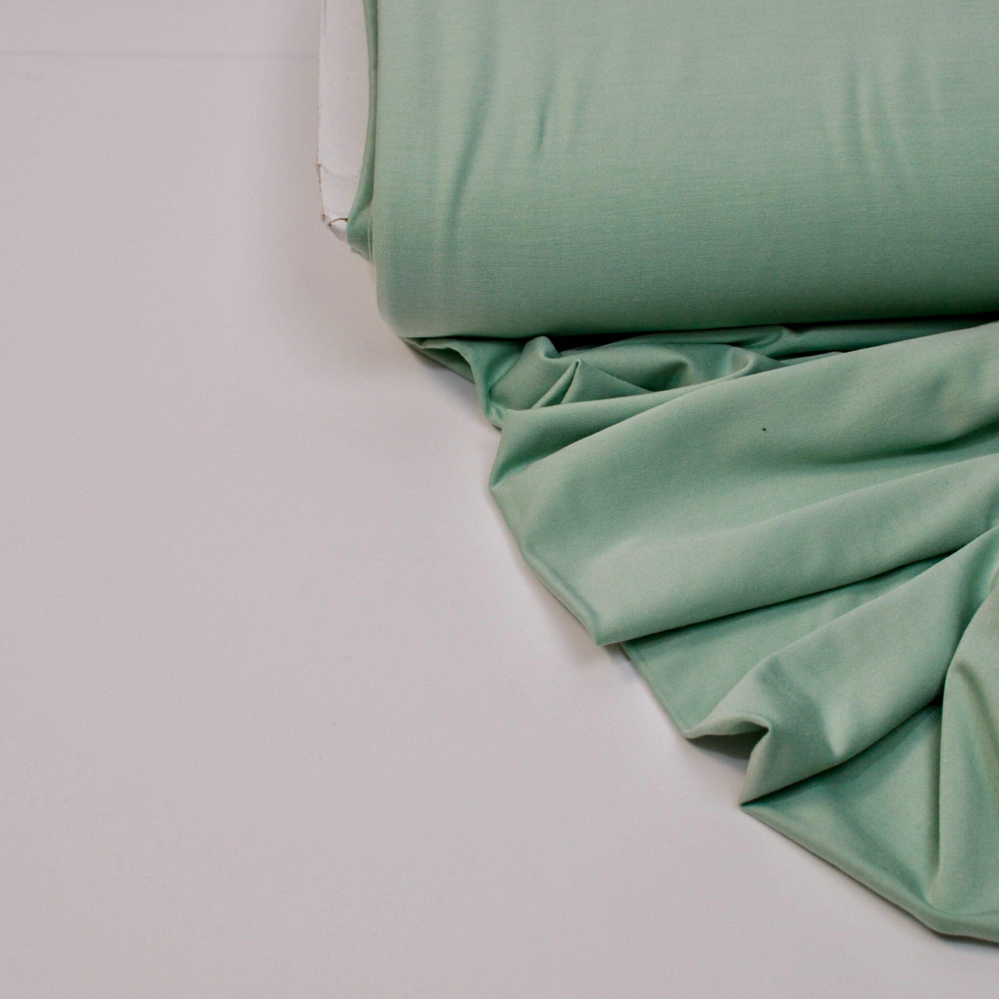 Viskosejersey - hellgrün Fabric poshpinks