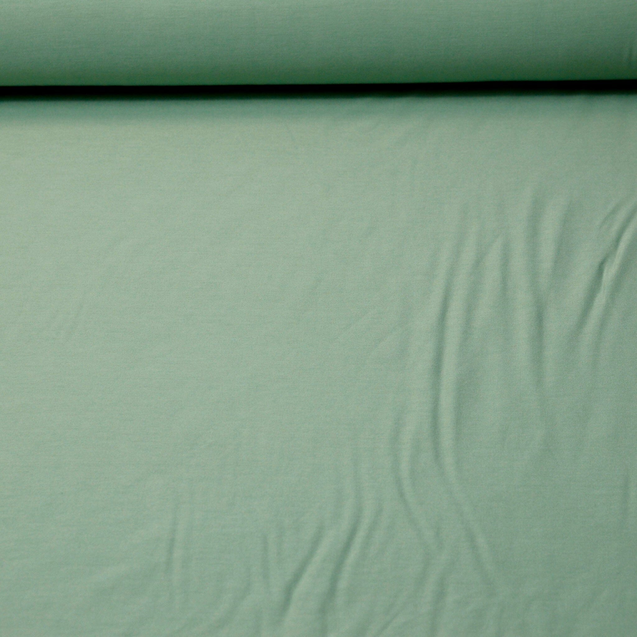 Viskosejersey - hellgrün Fabric poshpinks