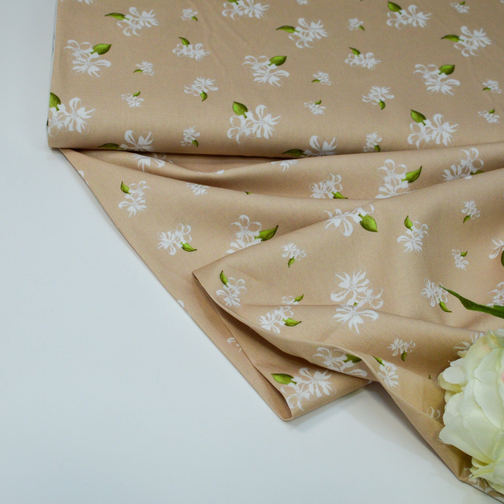 Baumwoll Popeline - Blütenspiel - beige Fabric poshpinks