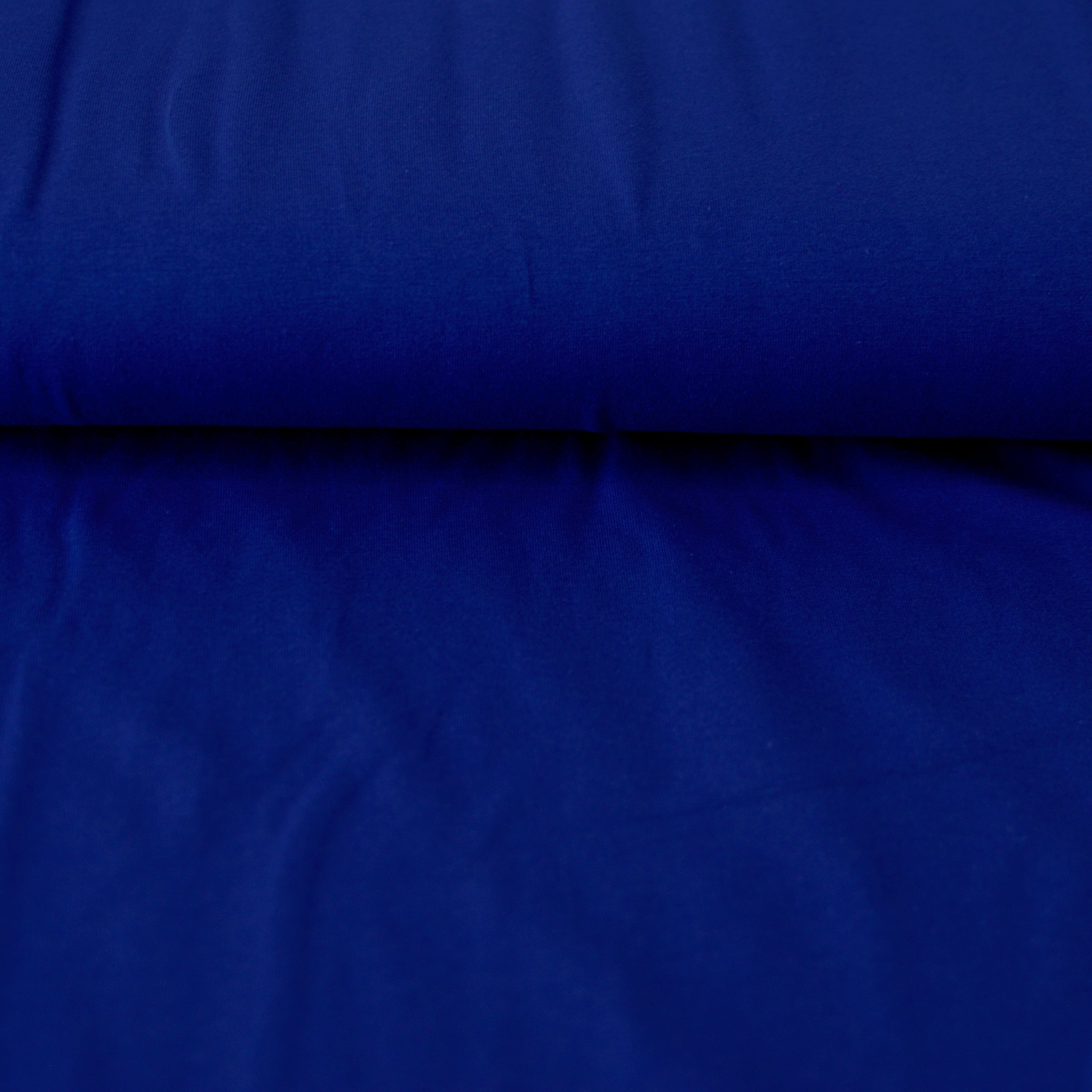 Baumwolljersey - Tinten blau Fabric poshpinks