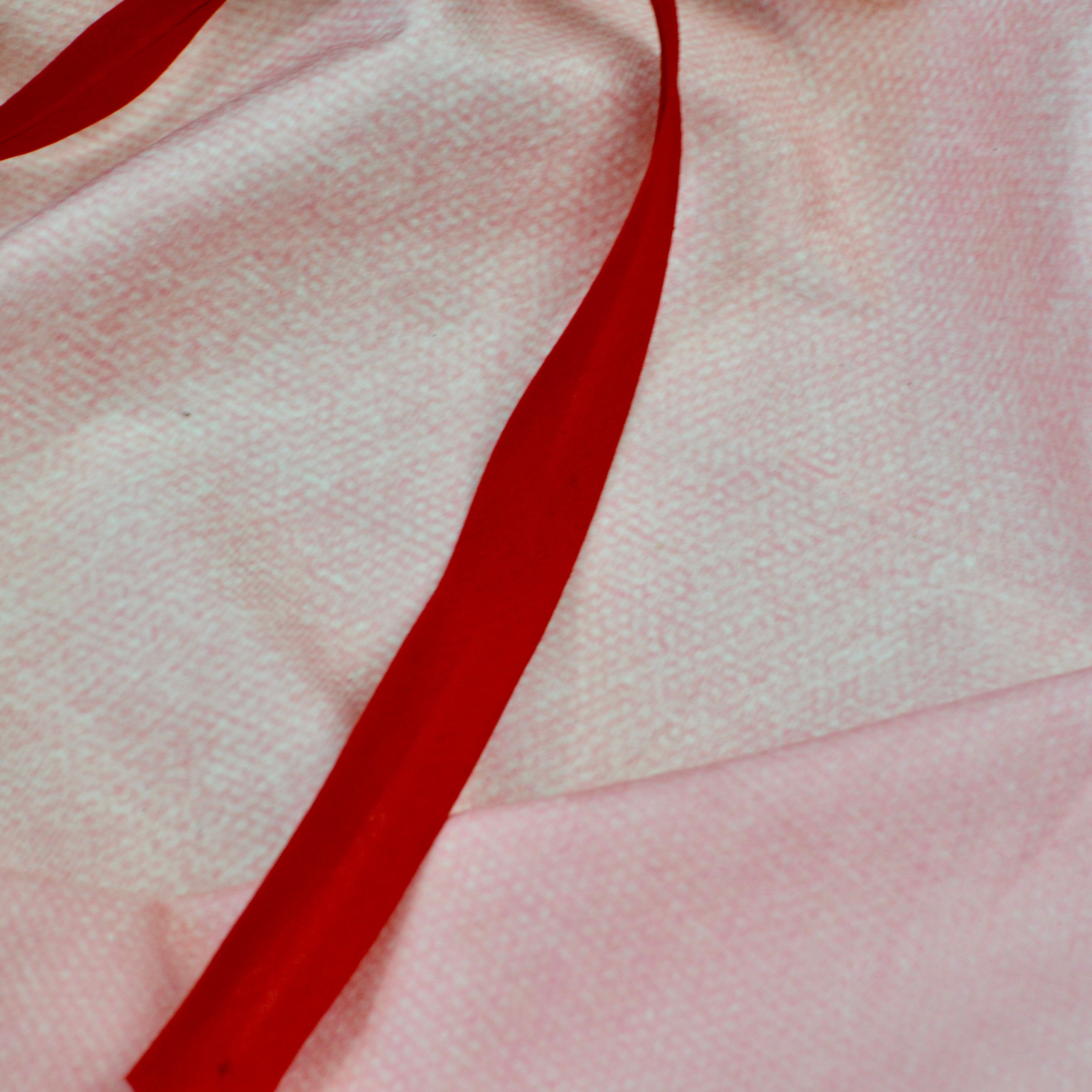 Baumwolle Einfassband / Schrägband 20mm rot Fabric poshpinks